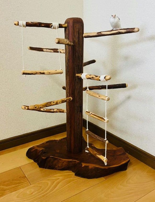 【中型鳥】ブランコ＆はしご付バードアスレチック♬