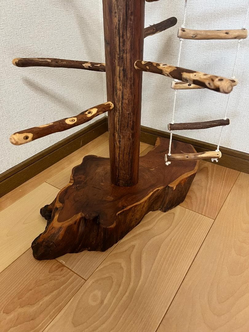 【中型鳥】ブランコ＆はしご付バードアスレチック♬