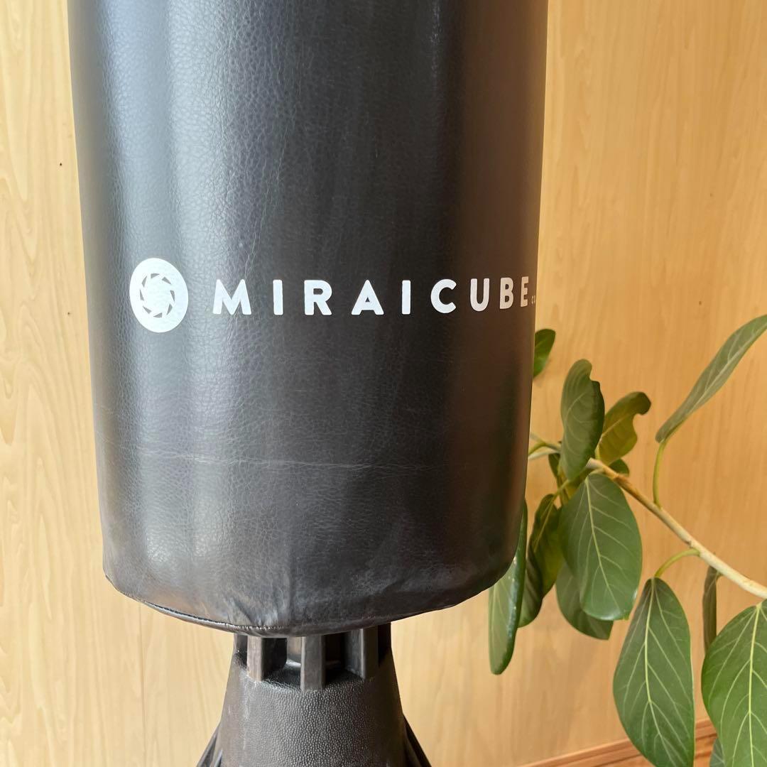 新品★サンドバッグ★自宅用★ボクシング★ブラック★自立型★グローブ付き