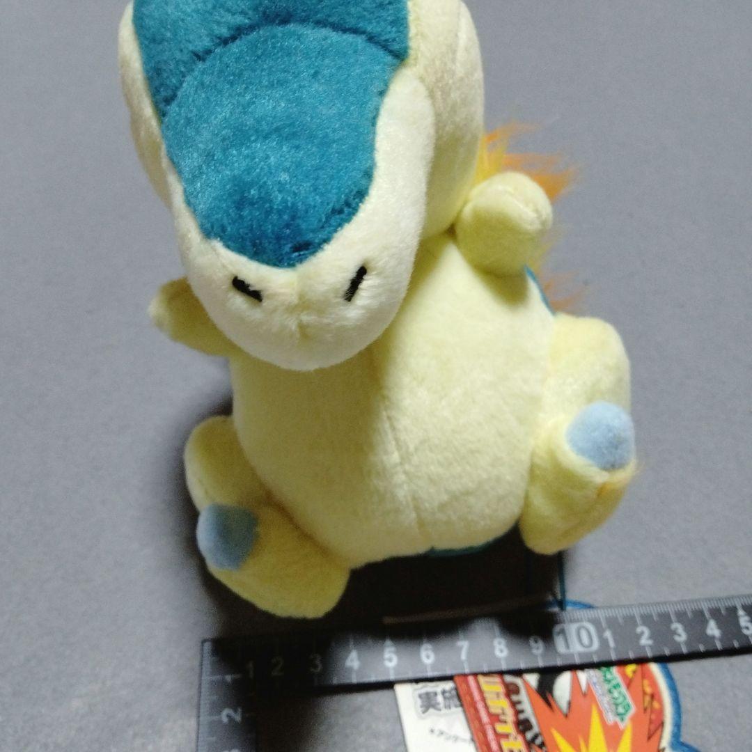 ヒノアラシ NEWポケモンぬいぐるみ