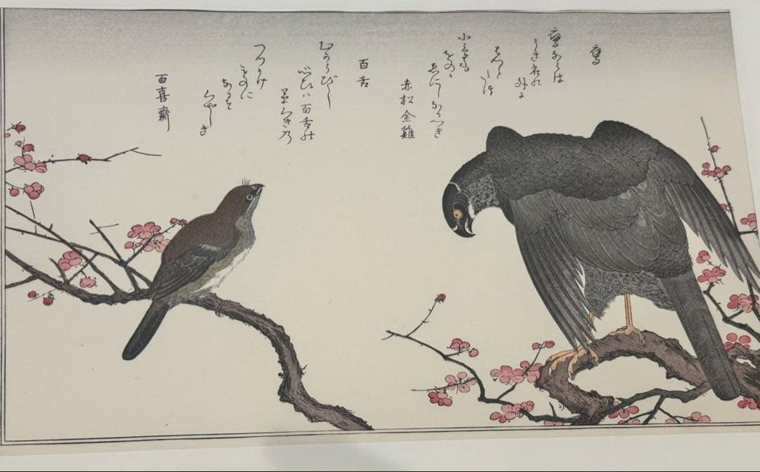 喜多川歌麿画 「絵本百千鳥」手摺木版画 計14枚 解説付