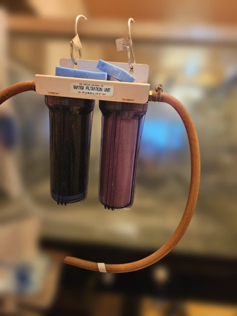 大型オーバーフロー水槽