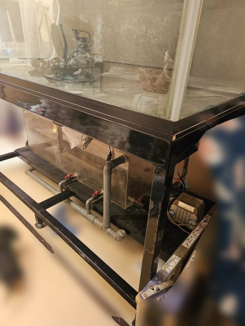 大型オーバーフロー水槽