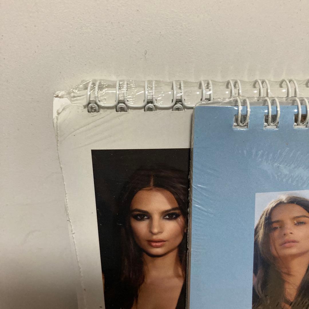 エミリー　ラタコウスキー　カレンダー　2017年と2018年