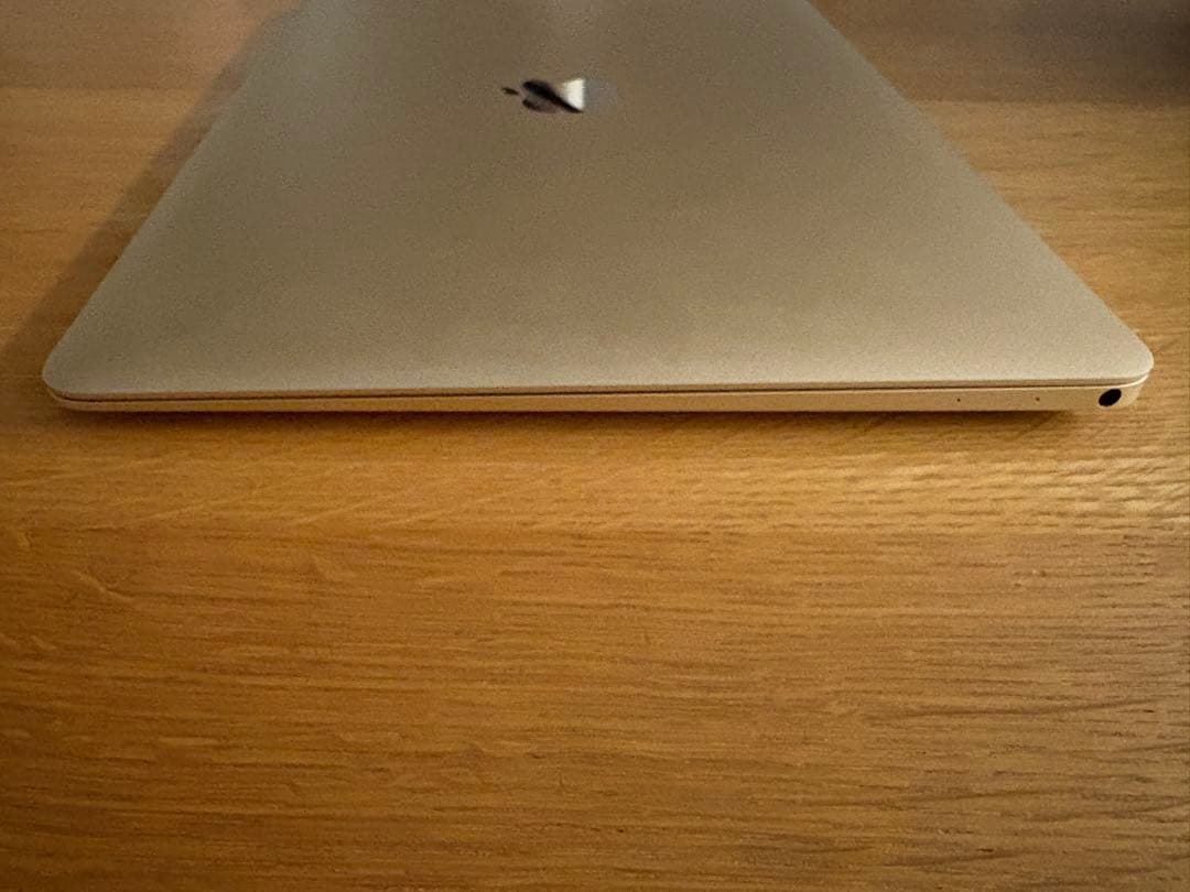 MacBook本体 MacBook 2015 1.2GHz 500GB