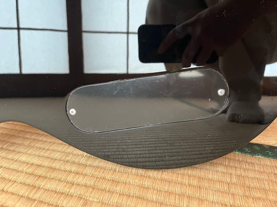 ESP Ltd TL-6N Black エレガット