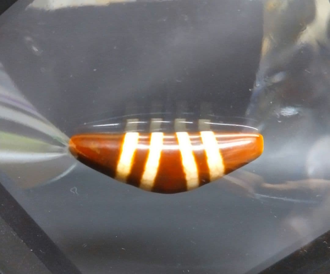 637天珠　上肯天珠　湾月　四線天珠　dzibeads！