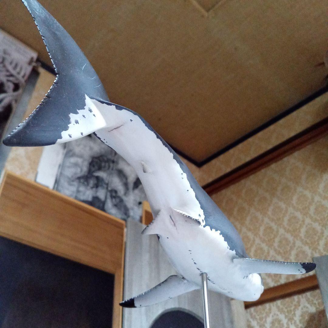 サメ　模型　ホホジロザメ　超絶モデル