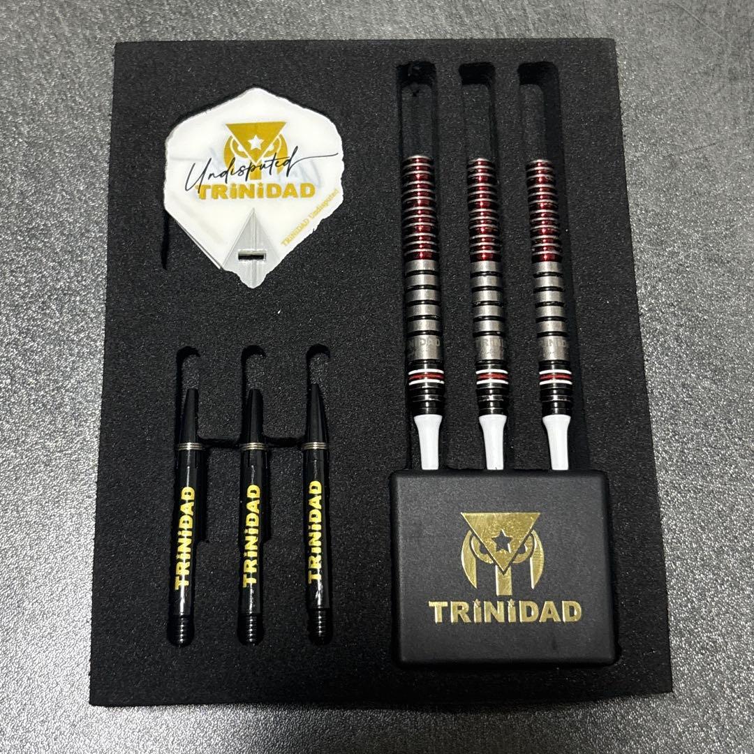 TRINIDAD GOMEZ TYPE15 山田勇樹モデル