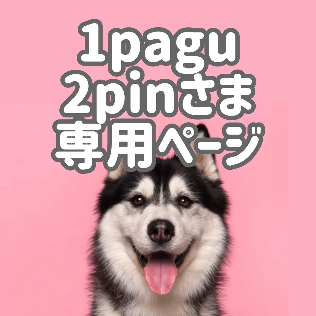 Aチ15◯● 1pagu2pinページ●◯