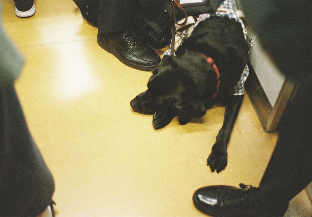 PENTAX ME ブラック + smc PENTAX-M 50mm F2