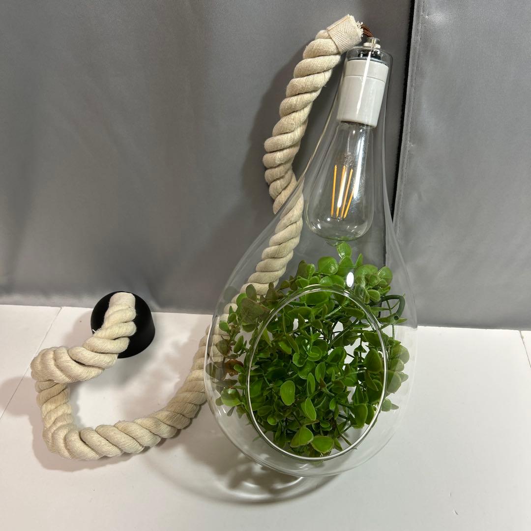 スワン電気 ボタニック ハンギングライト ペンダントライト ガラス ロープ