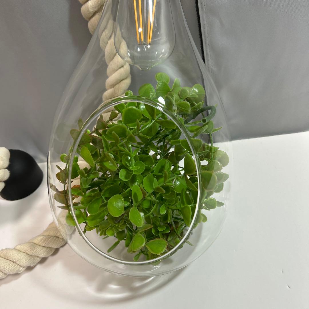 スワン電気 ボタニック ハンギングライト ペンダントライト ガラス ロープ