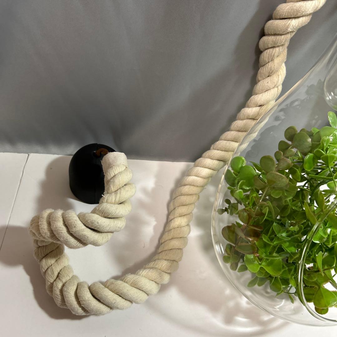 スワン電気 ボタニック ハンギングライト ペンダントライト ガラス ロープ