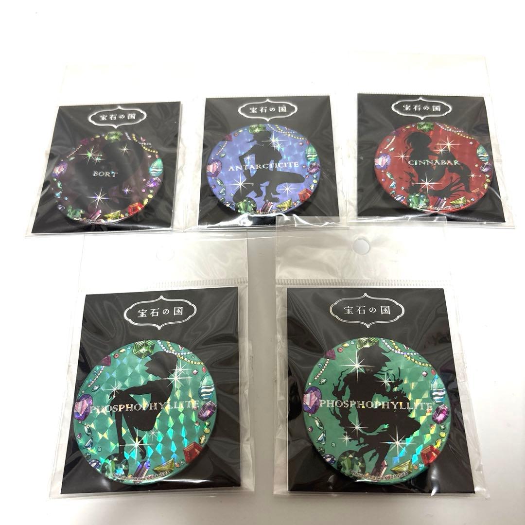 宝石の国 缶バッジ ヴィレッジヴァンガード限定5種セット