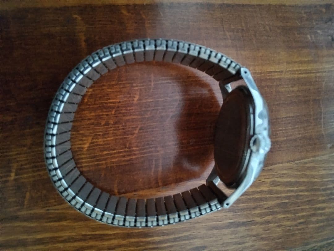 セイコー チャンピオン アルピニスト DIASHOCK 17J レア品