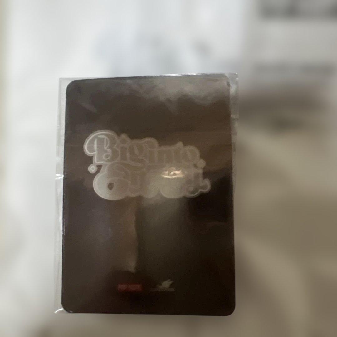 あ*こ様 【正規品】Labubu Big into Energy ラブブ シーク