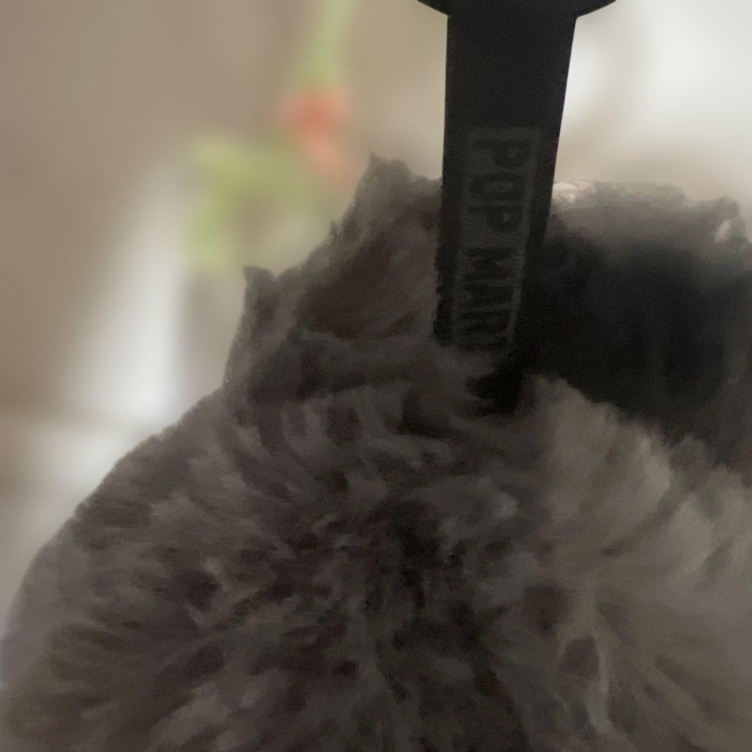 あ*こ様 【正規品】Labubu Big into Energy ラブブ シーク