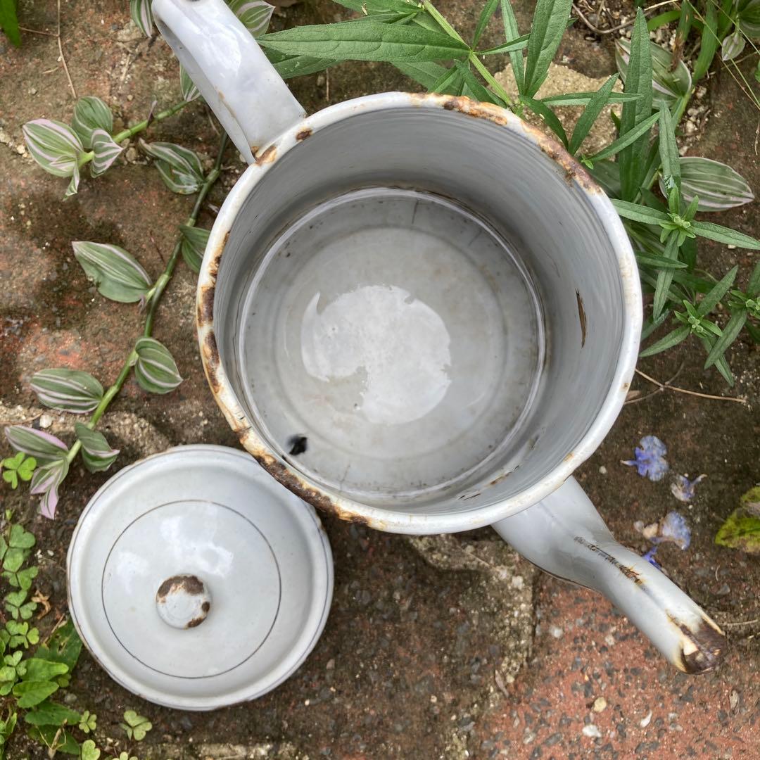 フランス　アンティーク コーヒーポット ガーデングッズ