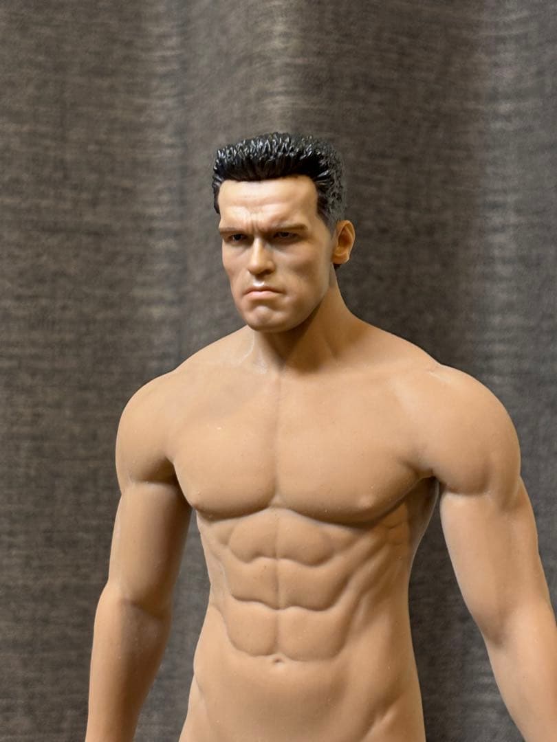 ターミネーター 転送時version 1/6 シームレスボディ