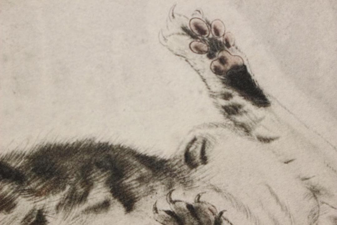 藤田嗣治 エスタンプリトグラフ「仰向けの猫」 100部限定 7/100