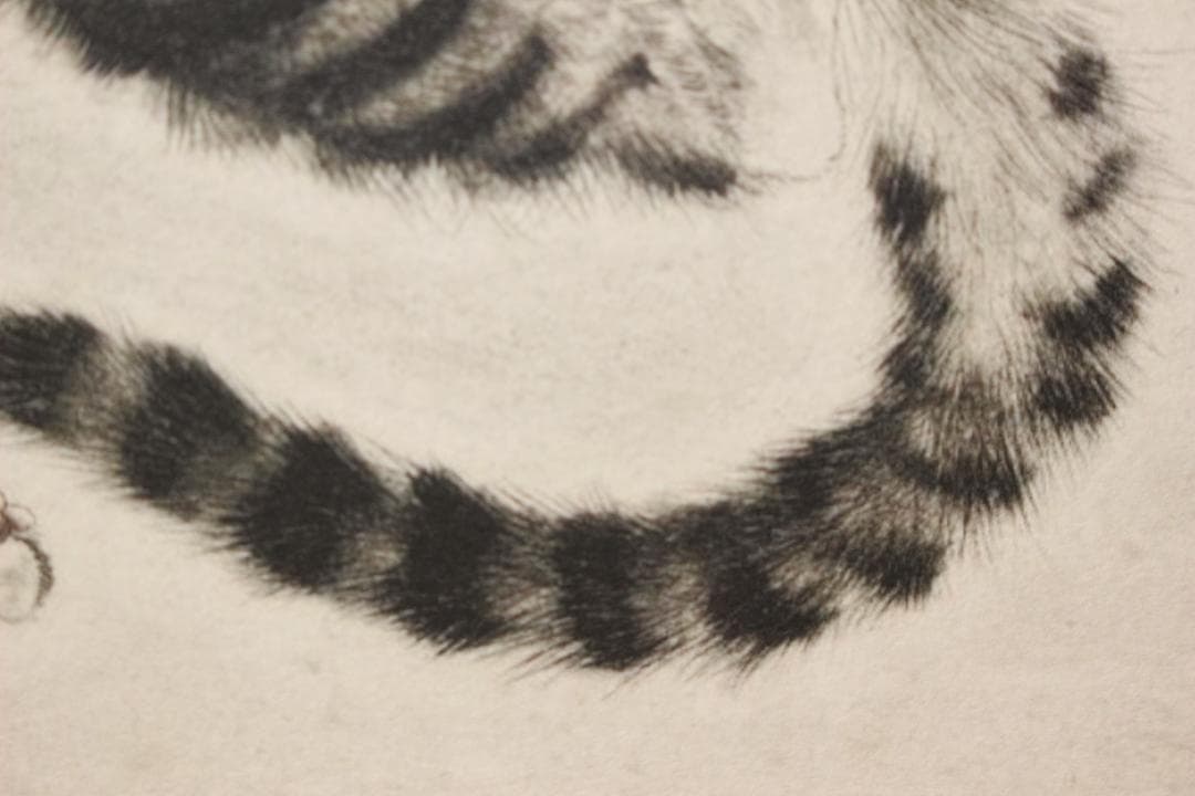 藤田嗣治 エスタンプリトグラフ「仰向けの猫」 100部限定 7/100