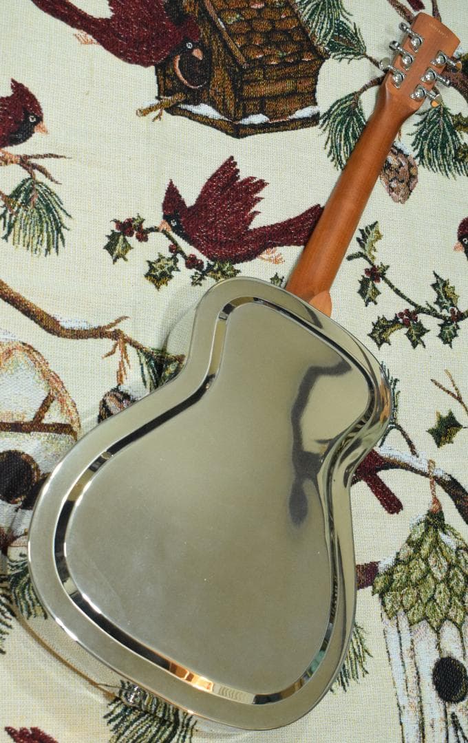 ギター Epiphone Dobro Hound Dog M-14 l Body