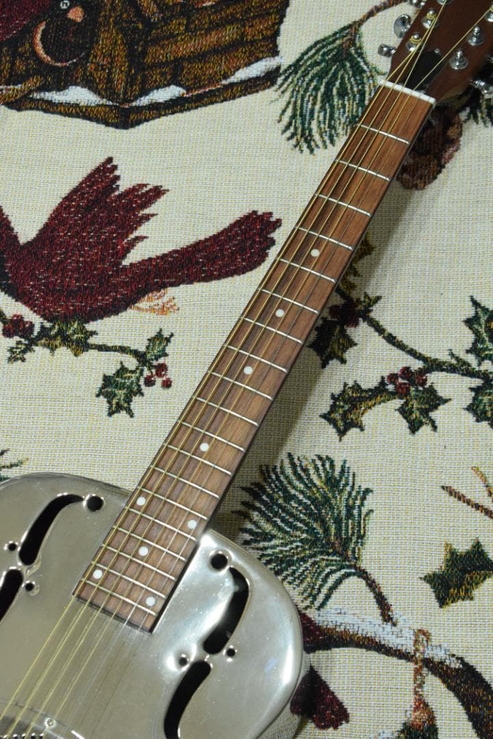 ギター Epiphone Dobro Hound Dog M-14 l Body