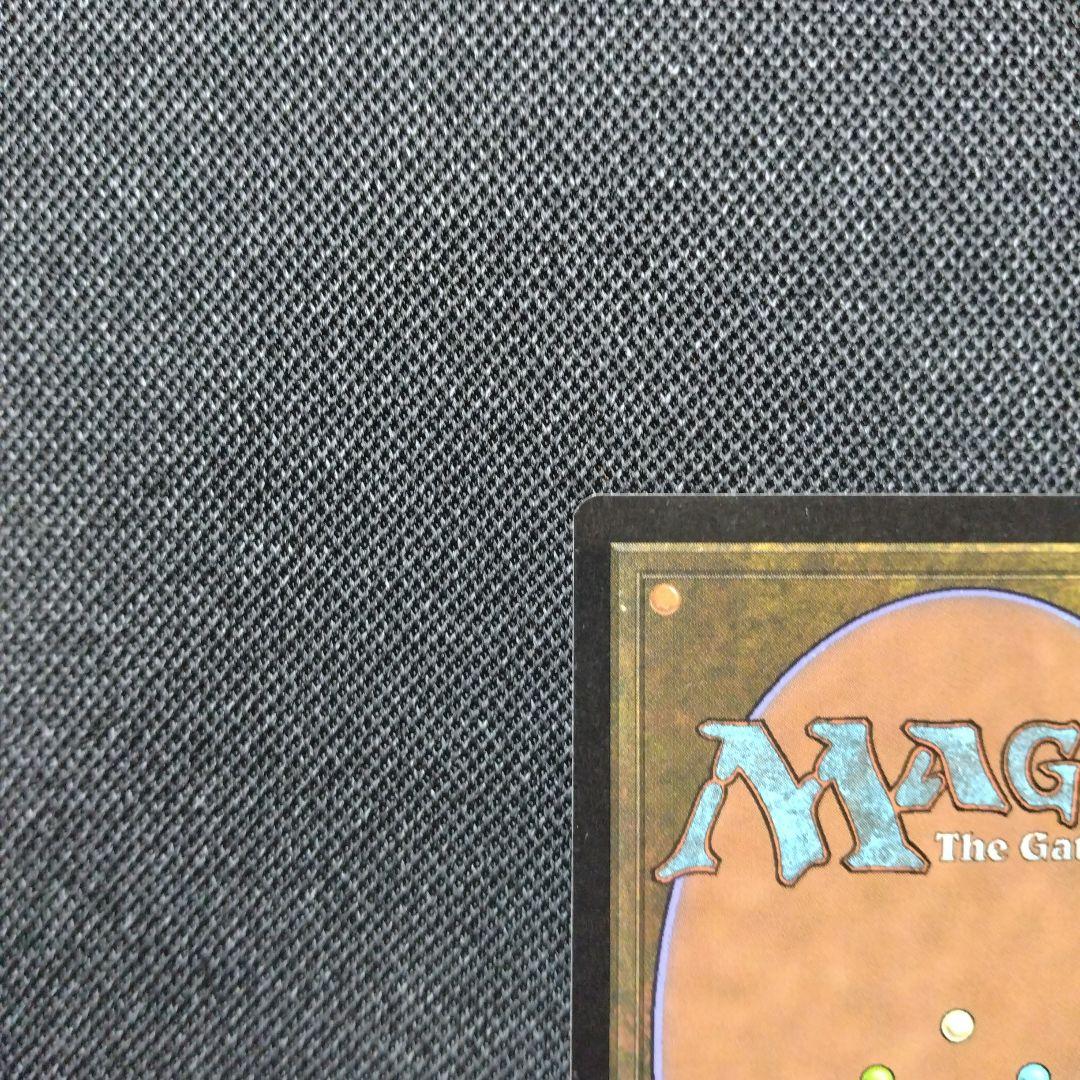 mtg 雨ざらしの旅人 日本語 foil