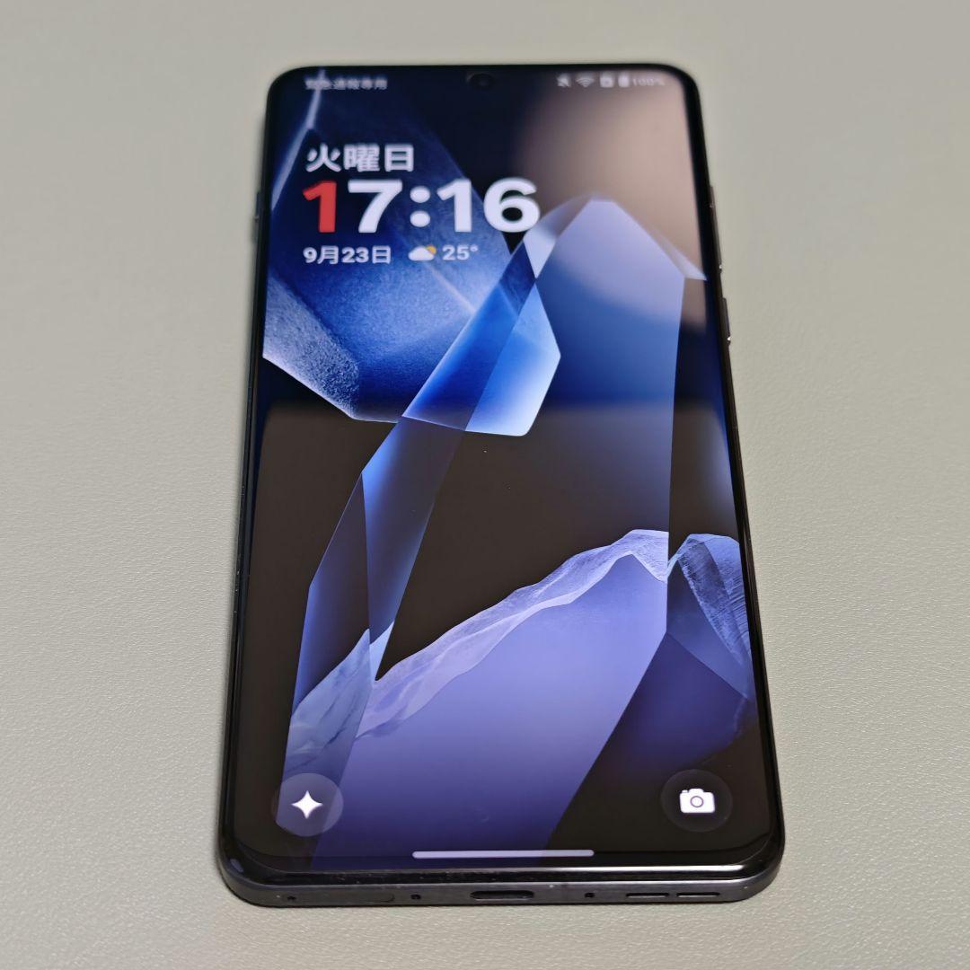 OnePlus 13 12GB RAM 256GB Black グローバル版