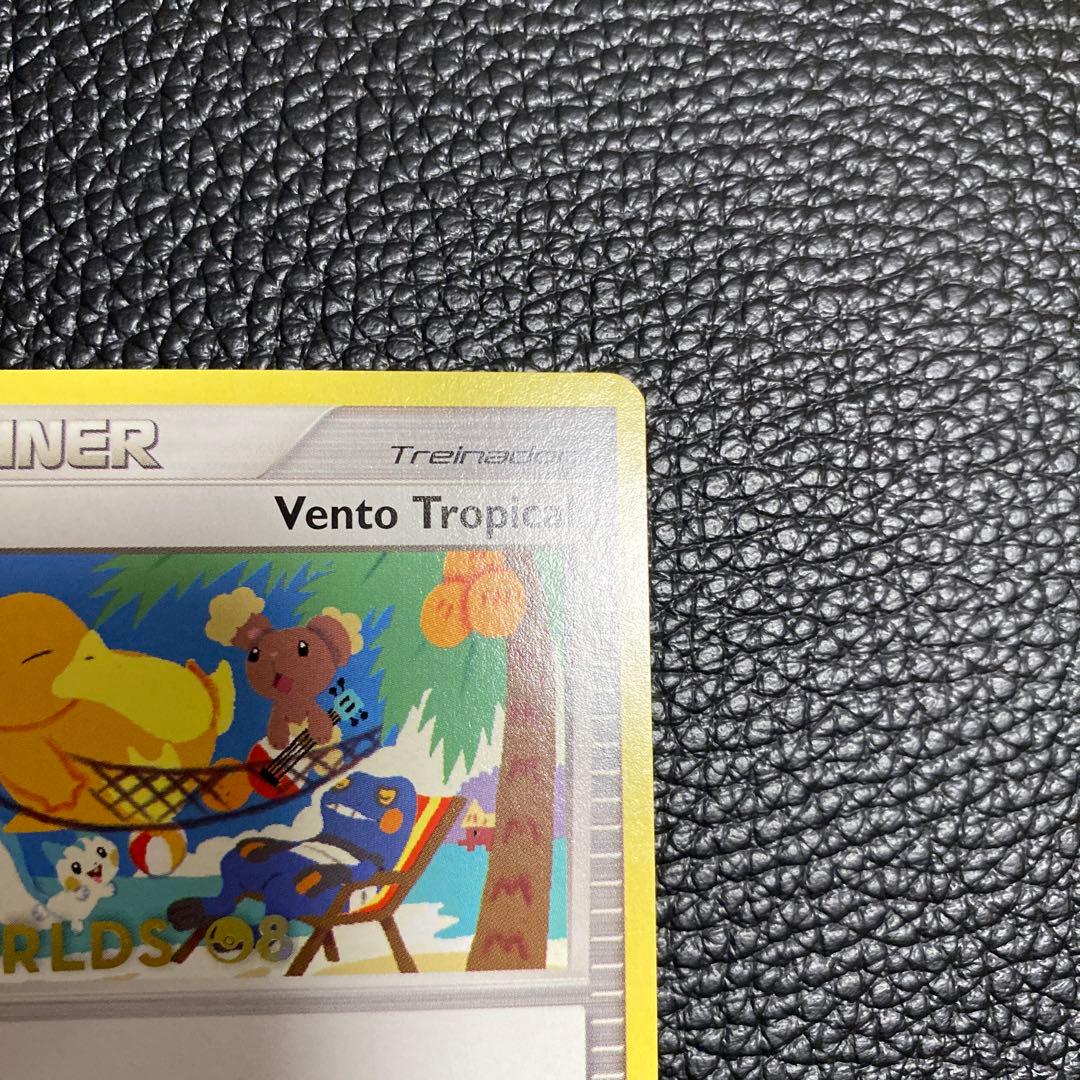 No.825 ポケモン　トロピカルウインド