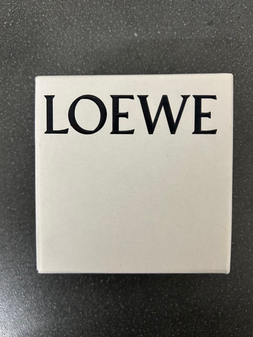 【極美品】LOEWE ロエベ　シルバー ロゴブローチ