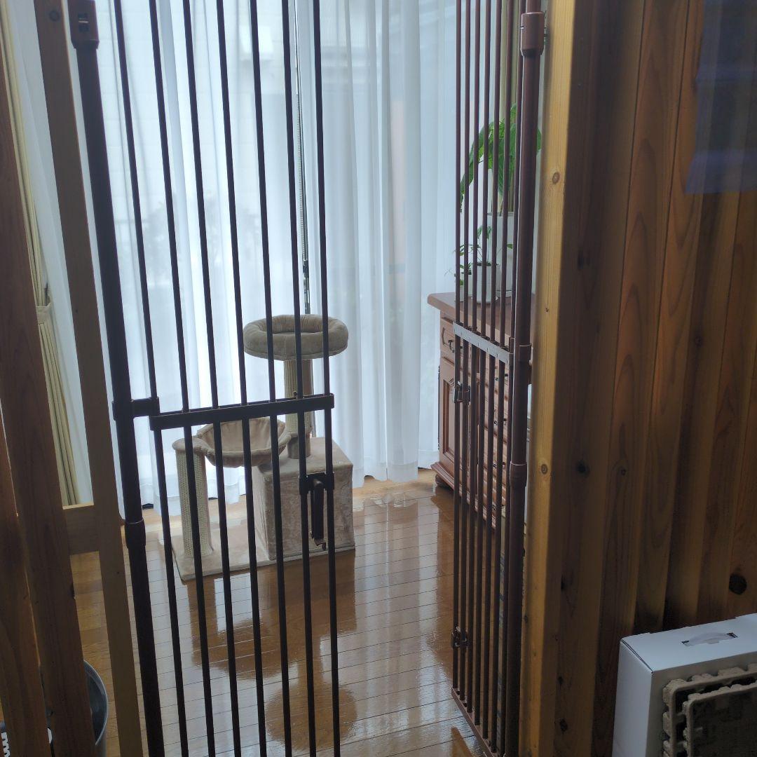 のぼれんにゃん2バリアフリー