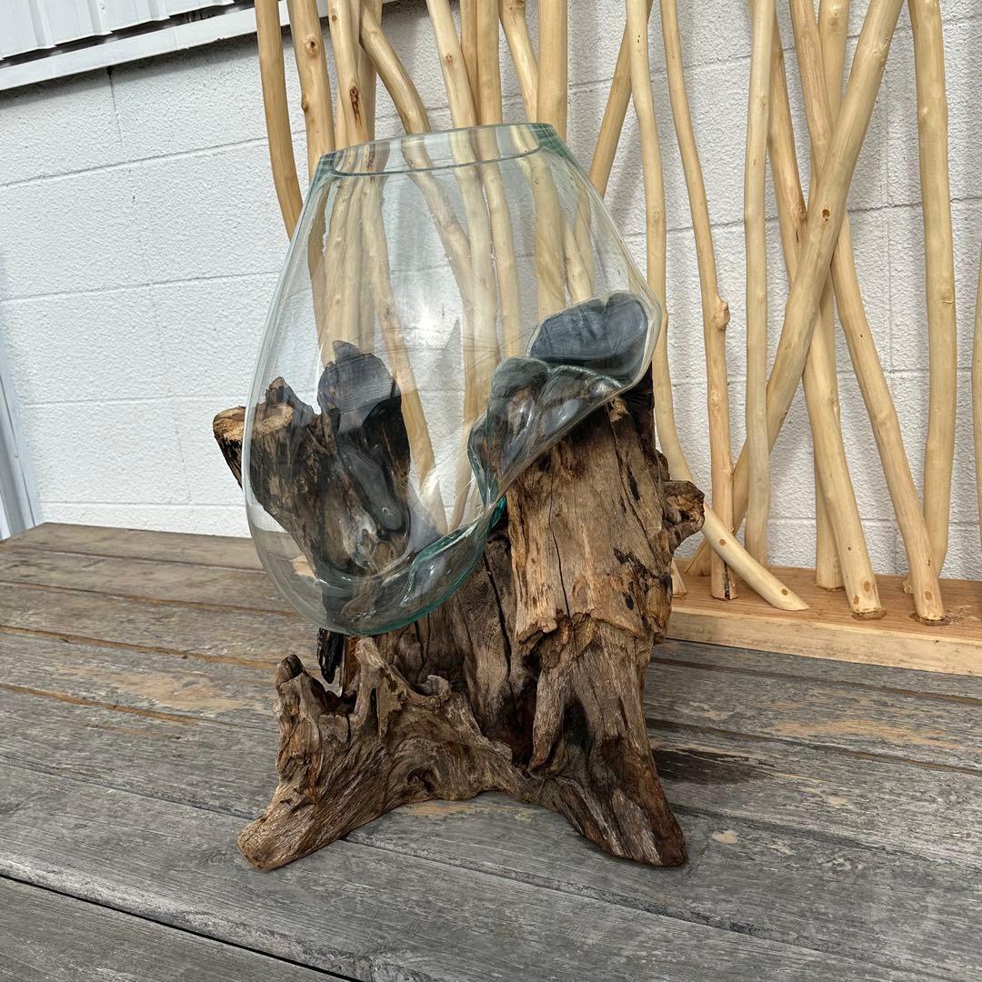 【送料無料】バリ島流木ガラスビッグサイズw50×d40×h62cm メダカ6-A