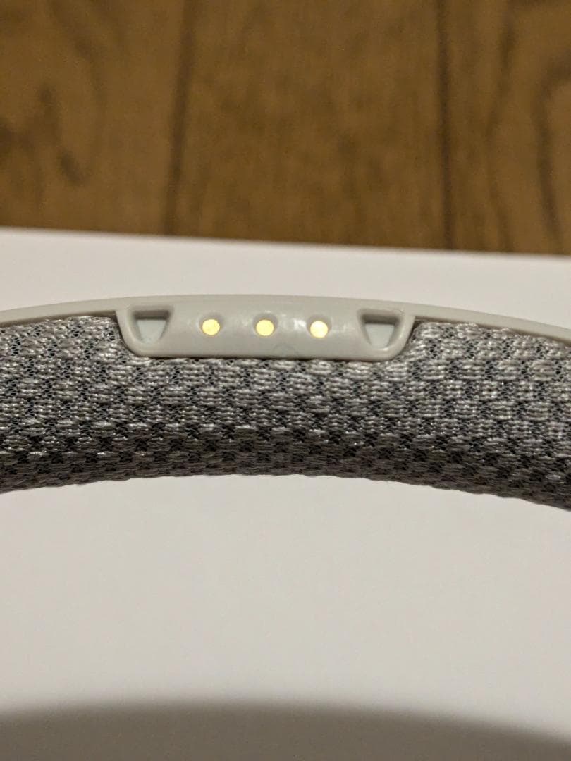 SONY SRS-WS1(専用カバー付)