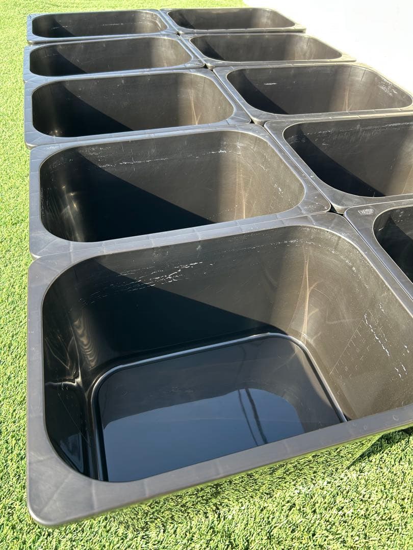 いぶきオリジナル　メダカ飼育舟18Ｌ黒１０個セット