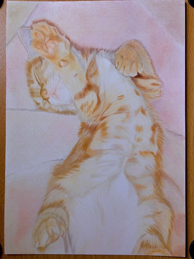 色鉛筆画　ぷりんページ