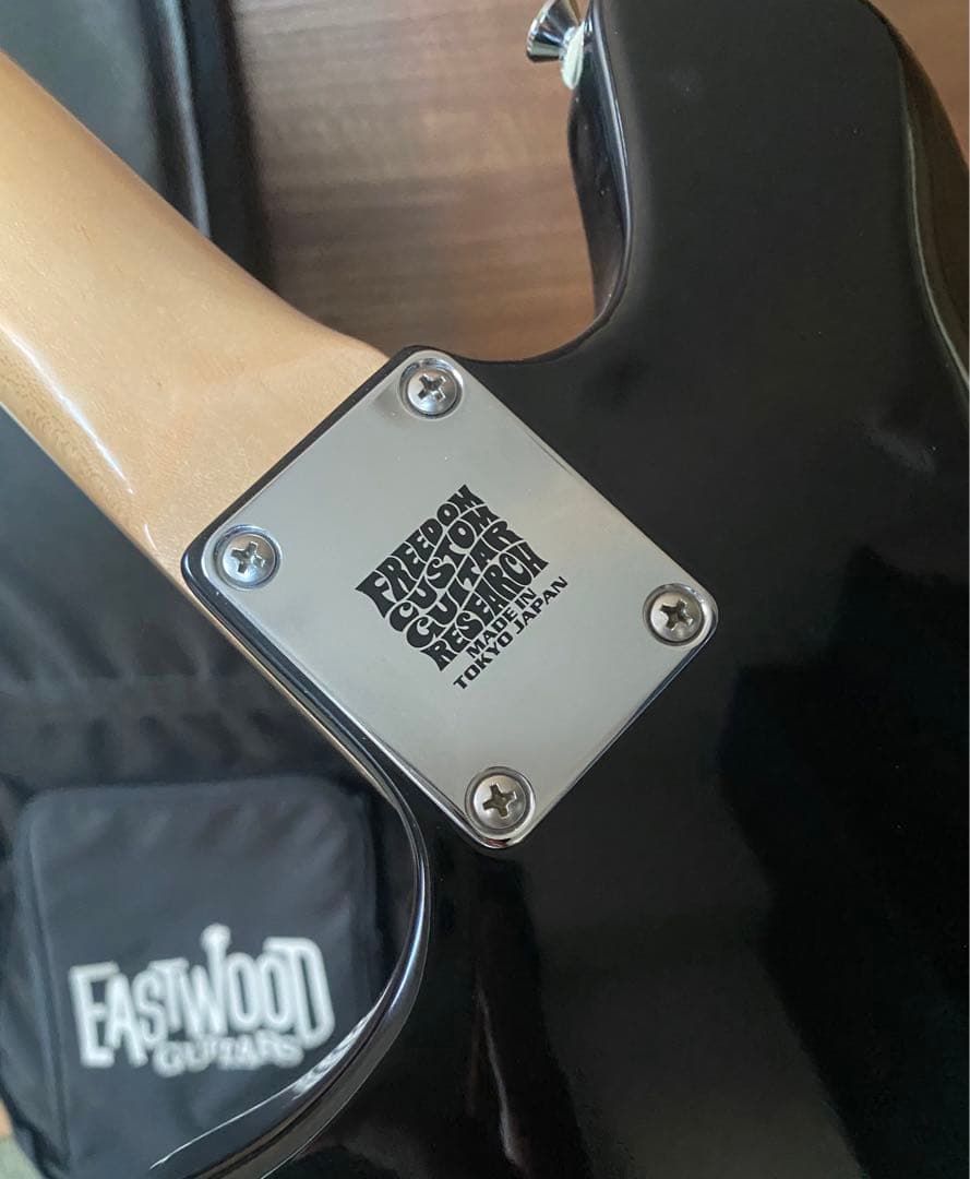 ギター EASTWOOD GUITARS Maverick/Custom