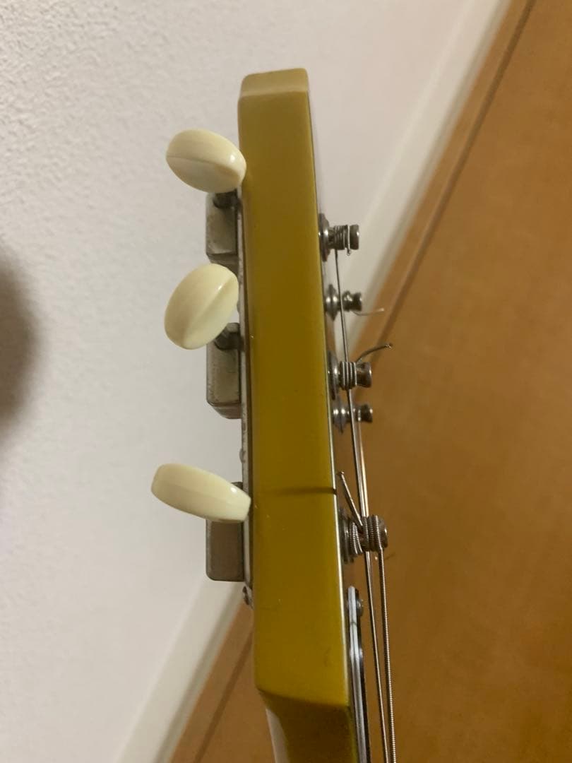 Epiphone Les Paul Special ケース 付