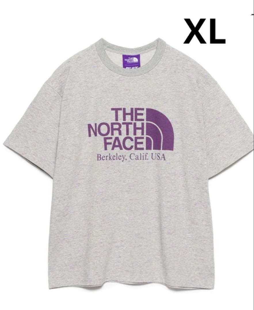 PALACE x The North Face ミックスグレー