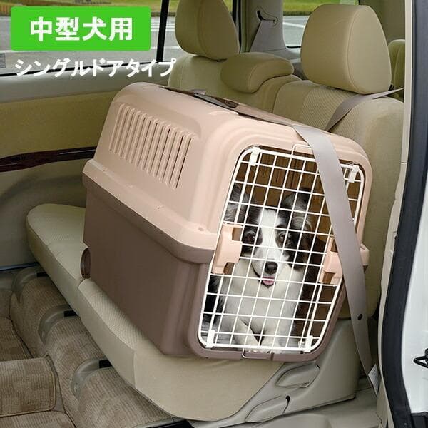 リッチェル キャンピングキャリー L ダークブラウン