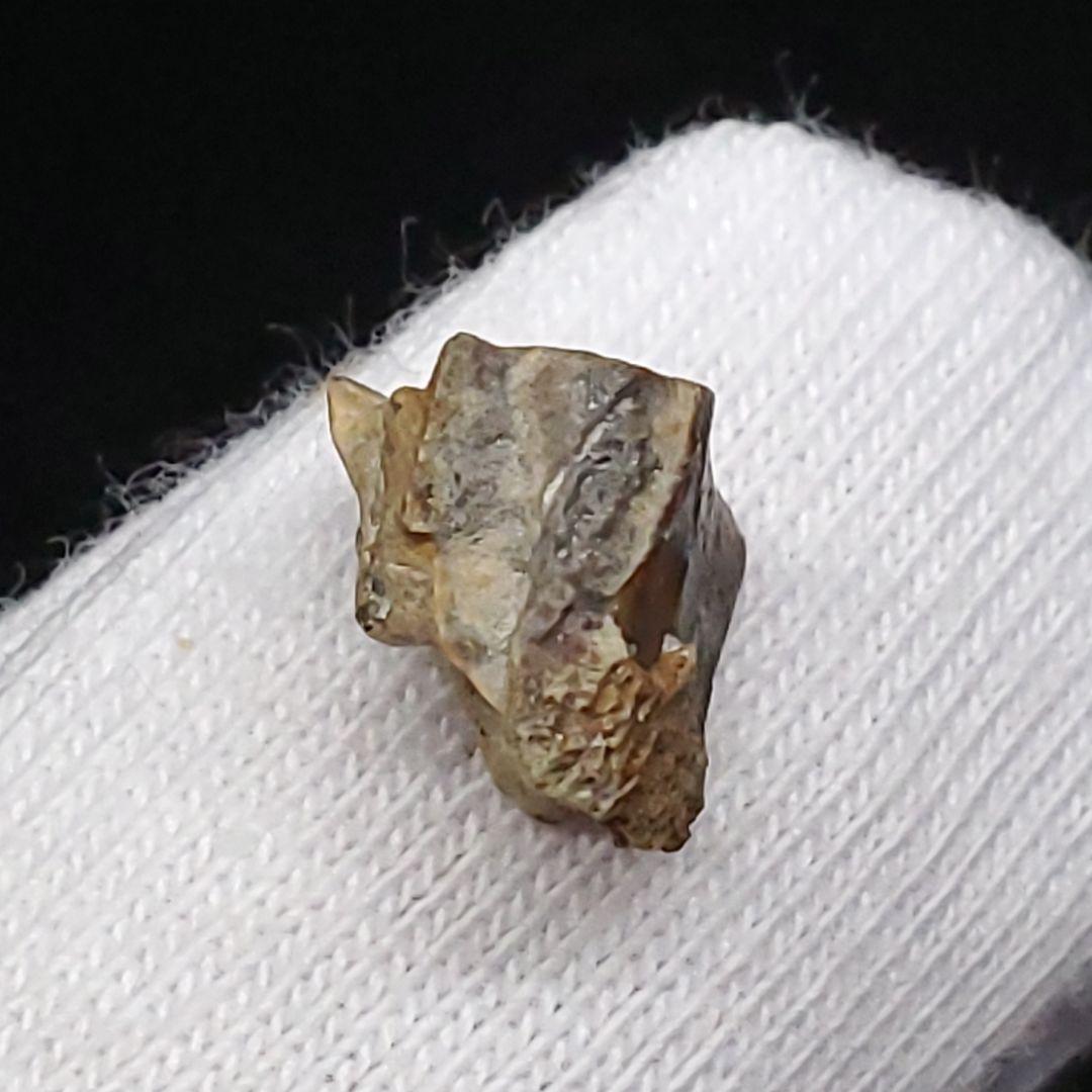 希少 ブラキロフォサウルス 化石 歯 恐竜 モンタナ州産 7.46mm fr85