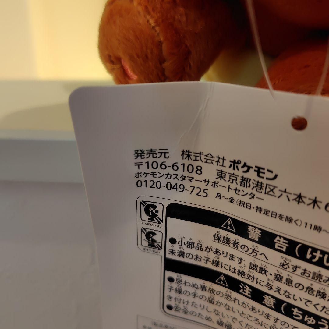 ポケモン グレイシアのポンチョを着たイーブイ ぬいぐるみ グレイシア イーブイ