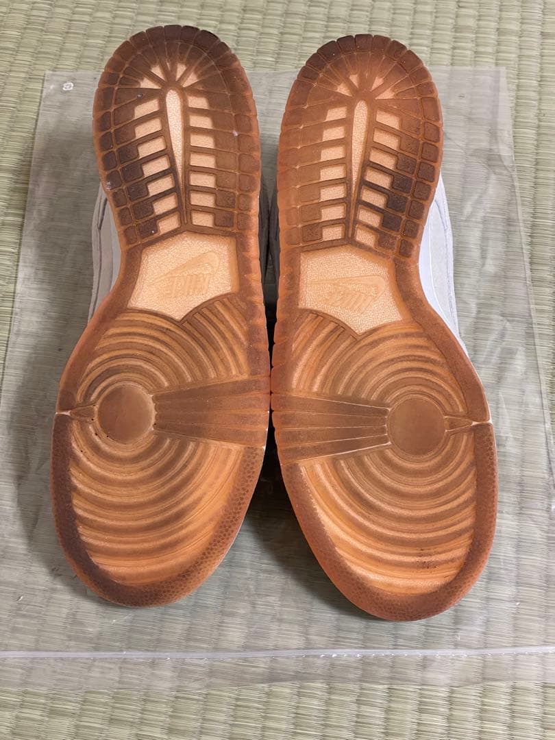 スケートボード Nike SB Dunk Low Pro B