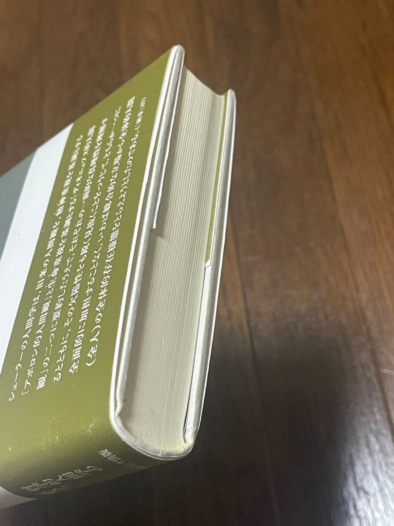 マックス・シェーラーの哲学的人間学 生命と精神の二元論的人間観をめぐって