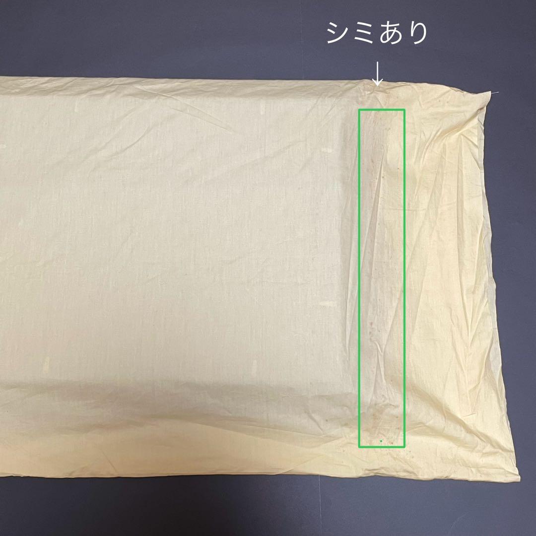 濱口清　椿　油彩　F6号