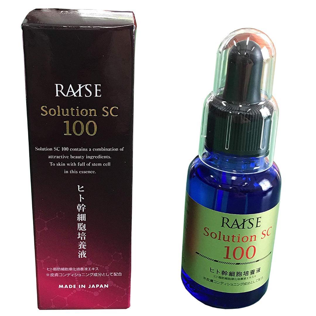 送料無料 RAISE レイズ　シリーズ　3個