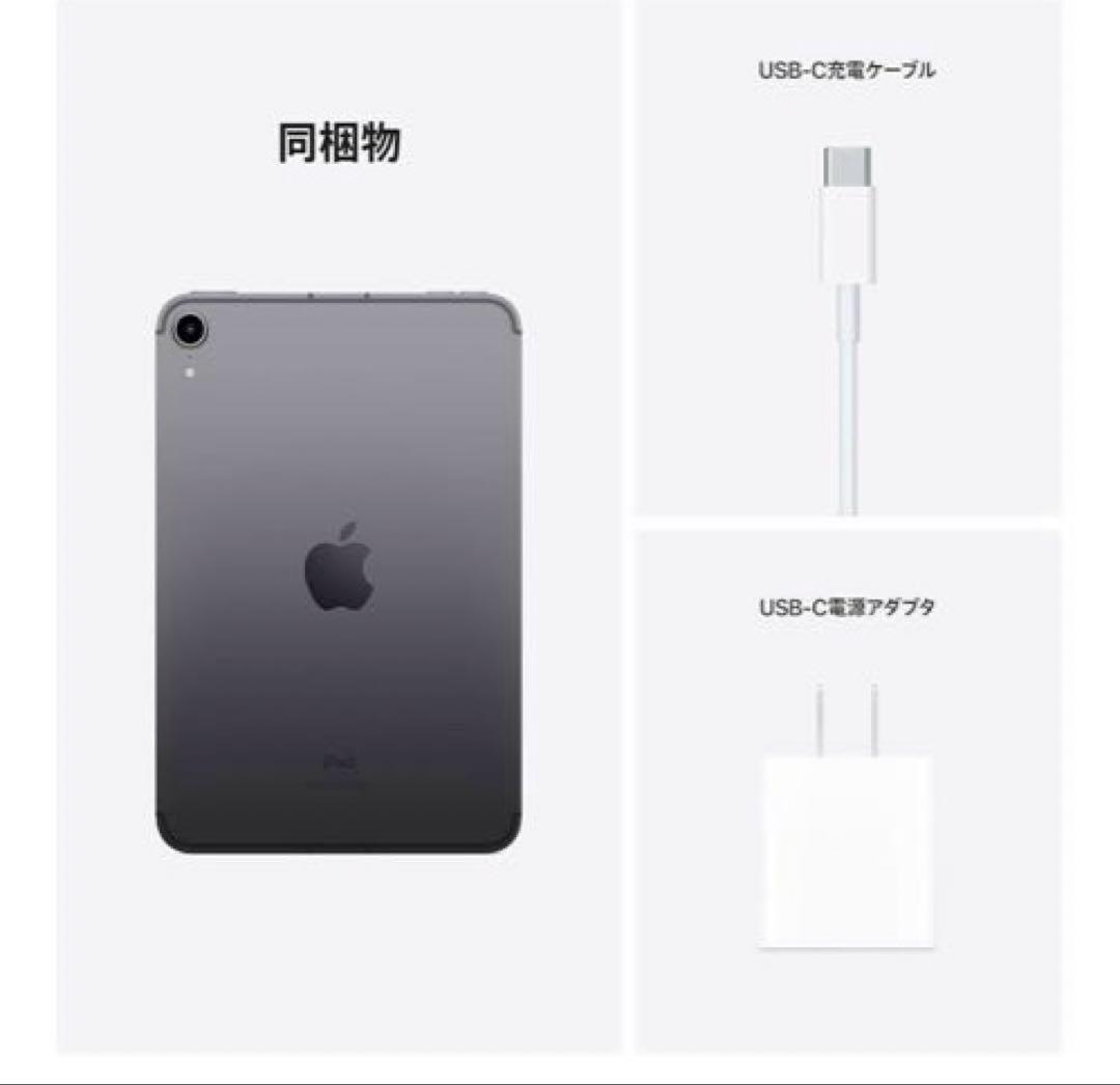 Apple 2021 iPad mini スペースグレイ　 256GB