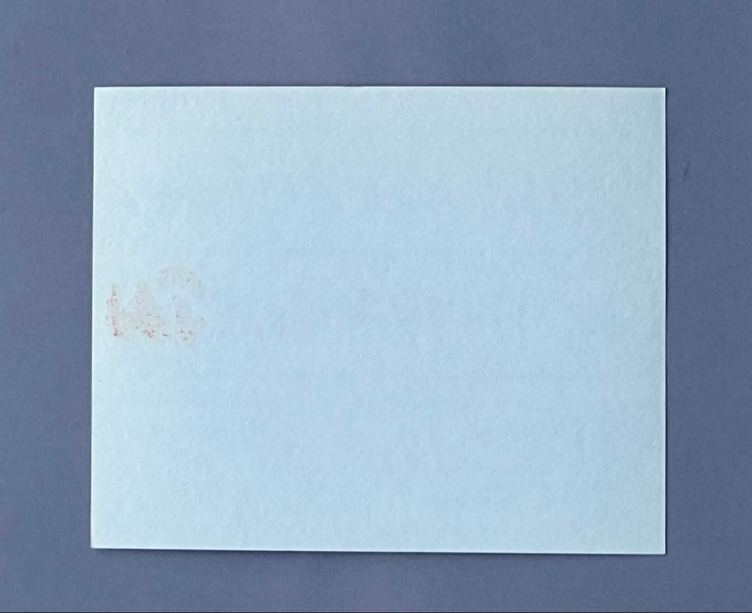 FujikoHemmingフジ子ヘミング真作保証FuzjkoHemming版画