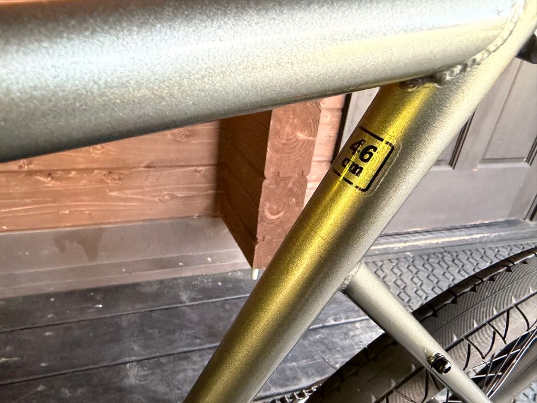 【送料込み】TERN 2023年モデル AMP F1 カスタム